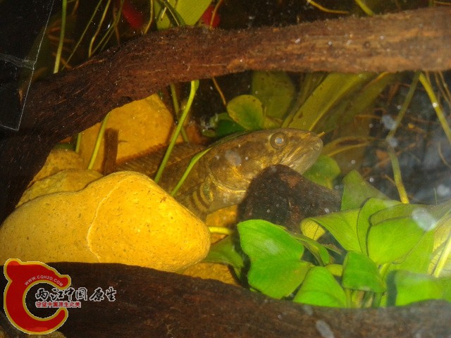2012-02-29 17.55.10.jpg