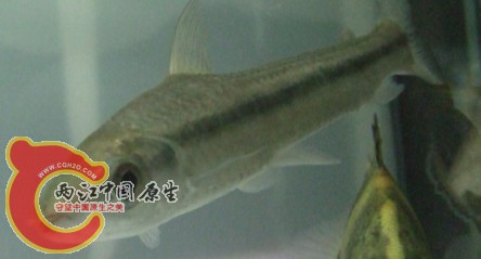 未命名1.jpg