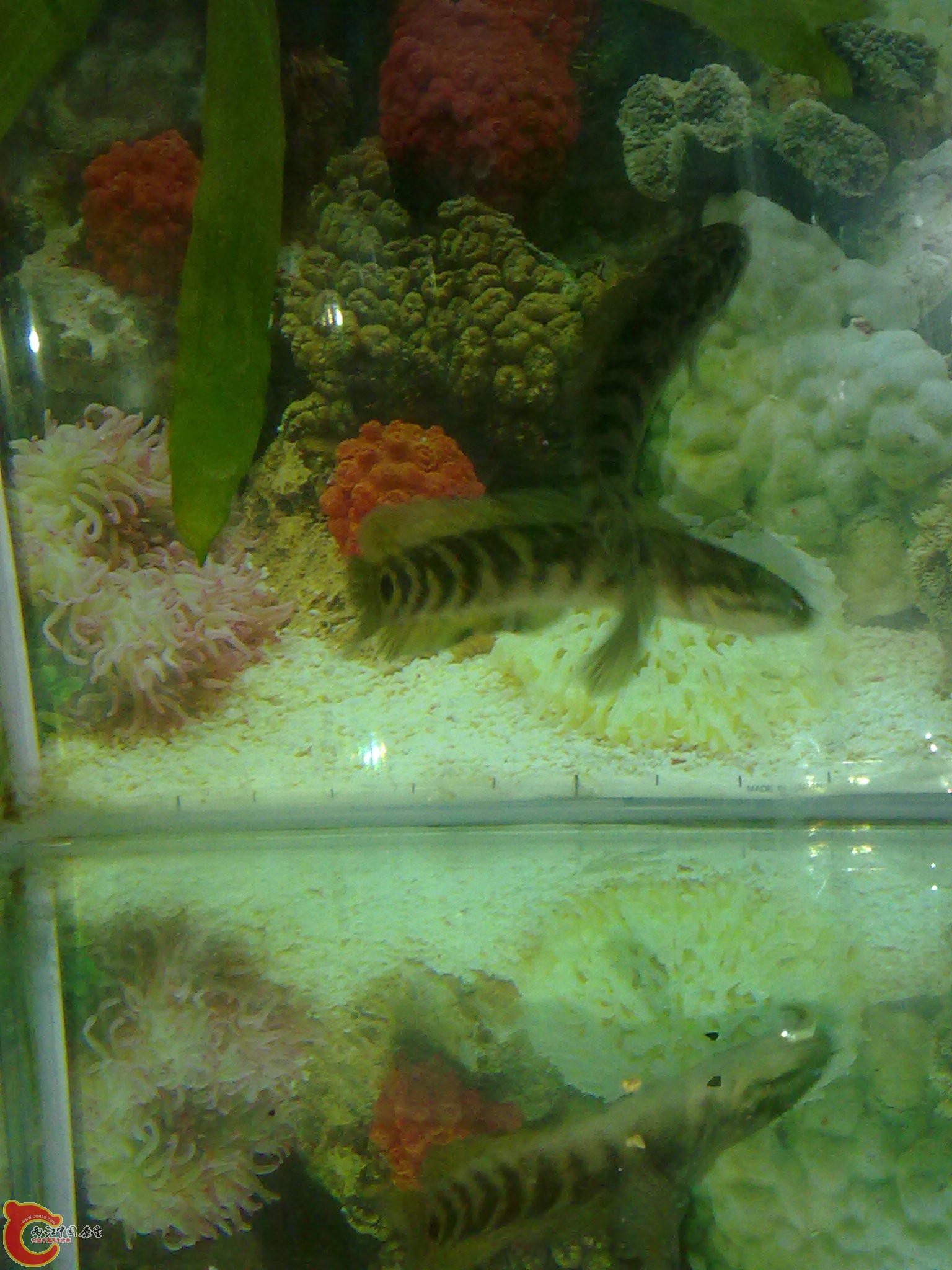 201203022189.jpg