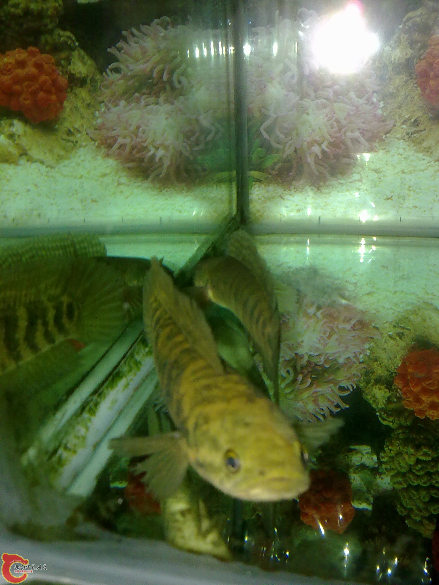 201203022207.jpg