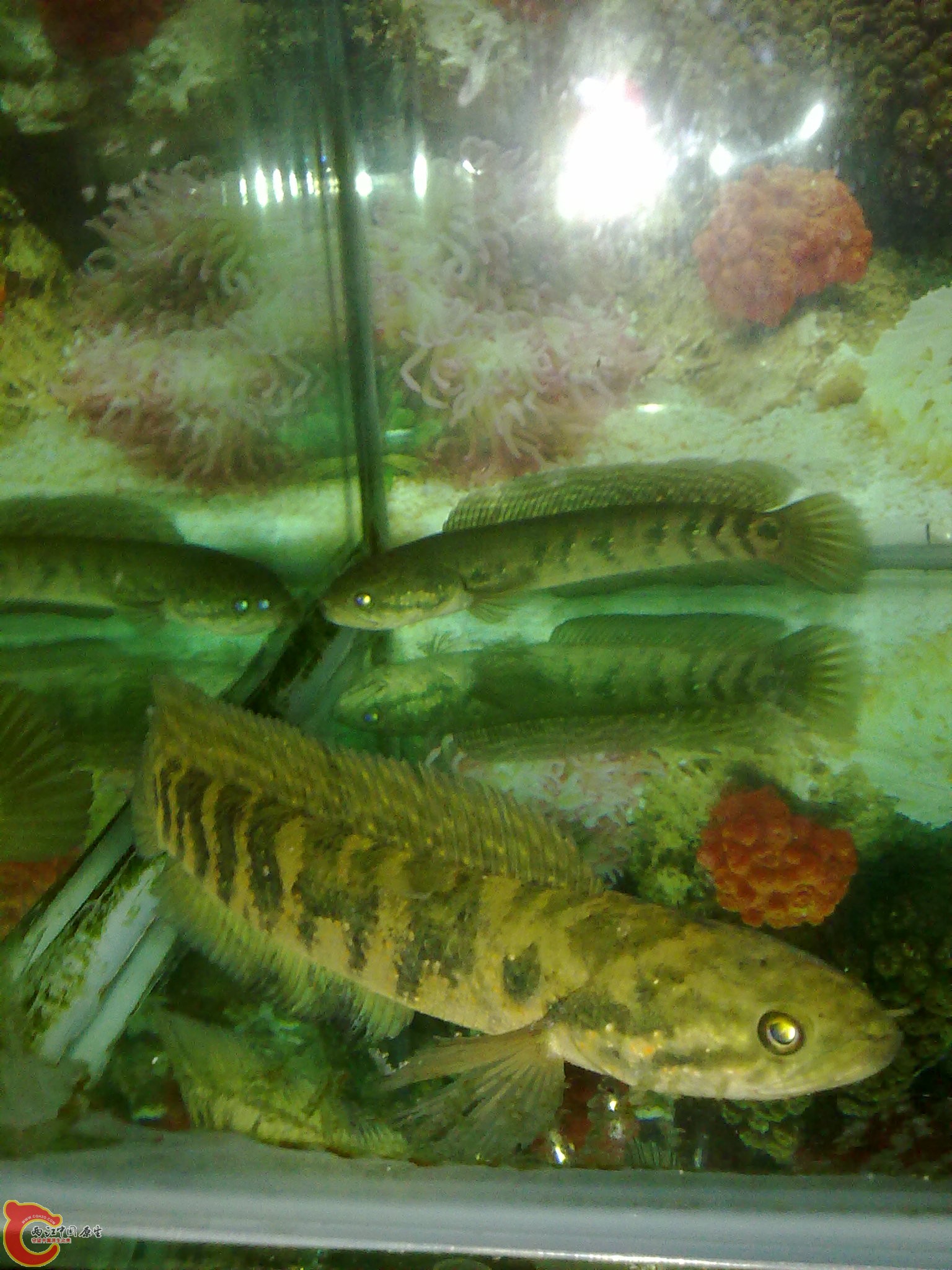201203022210.jpg