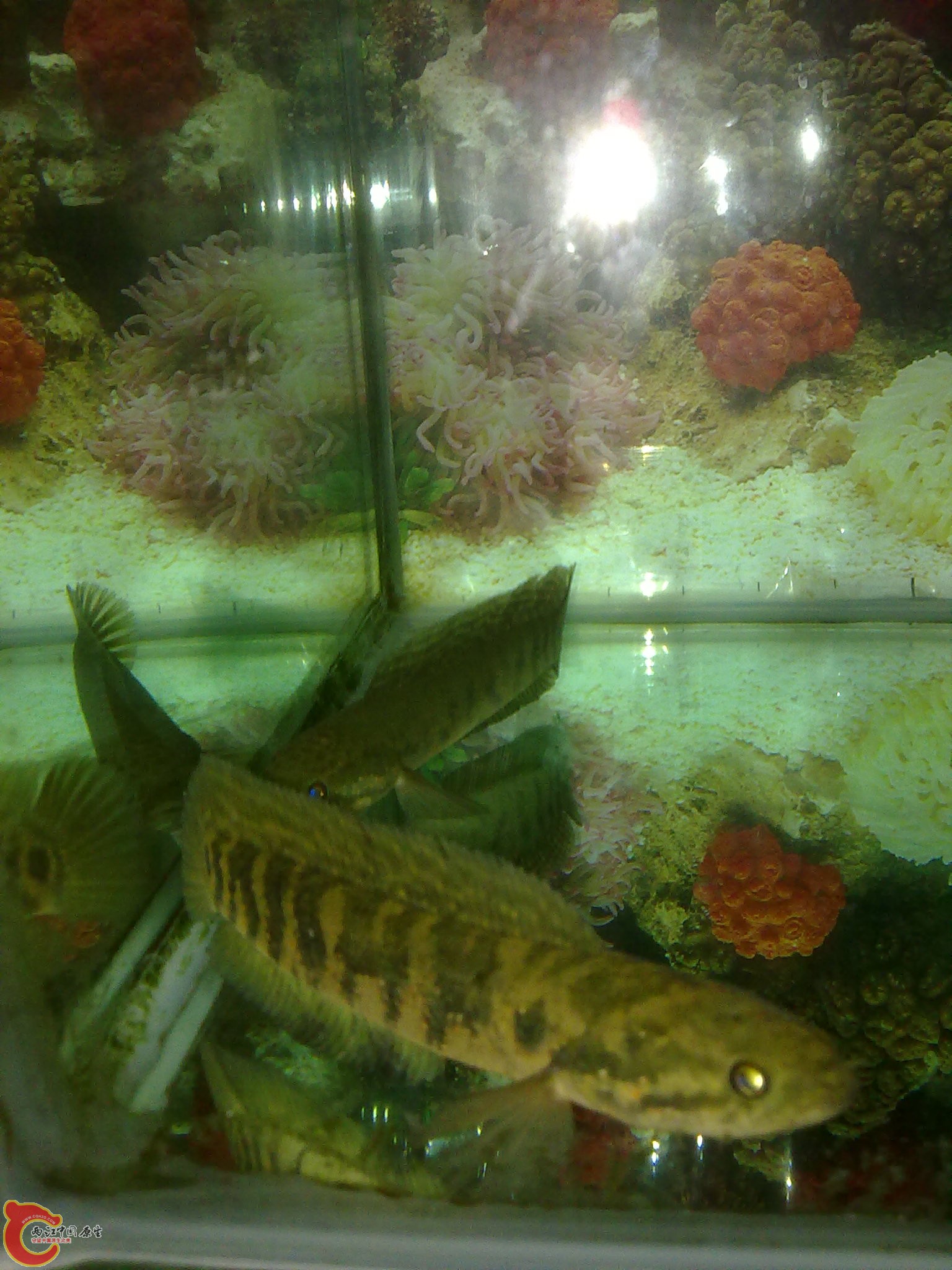 201203022211.jpg
