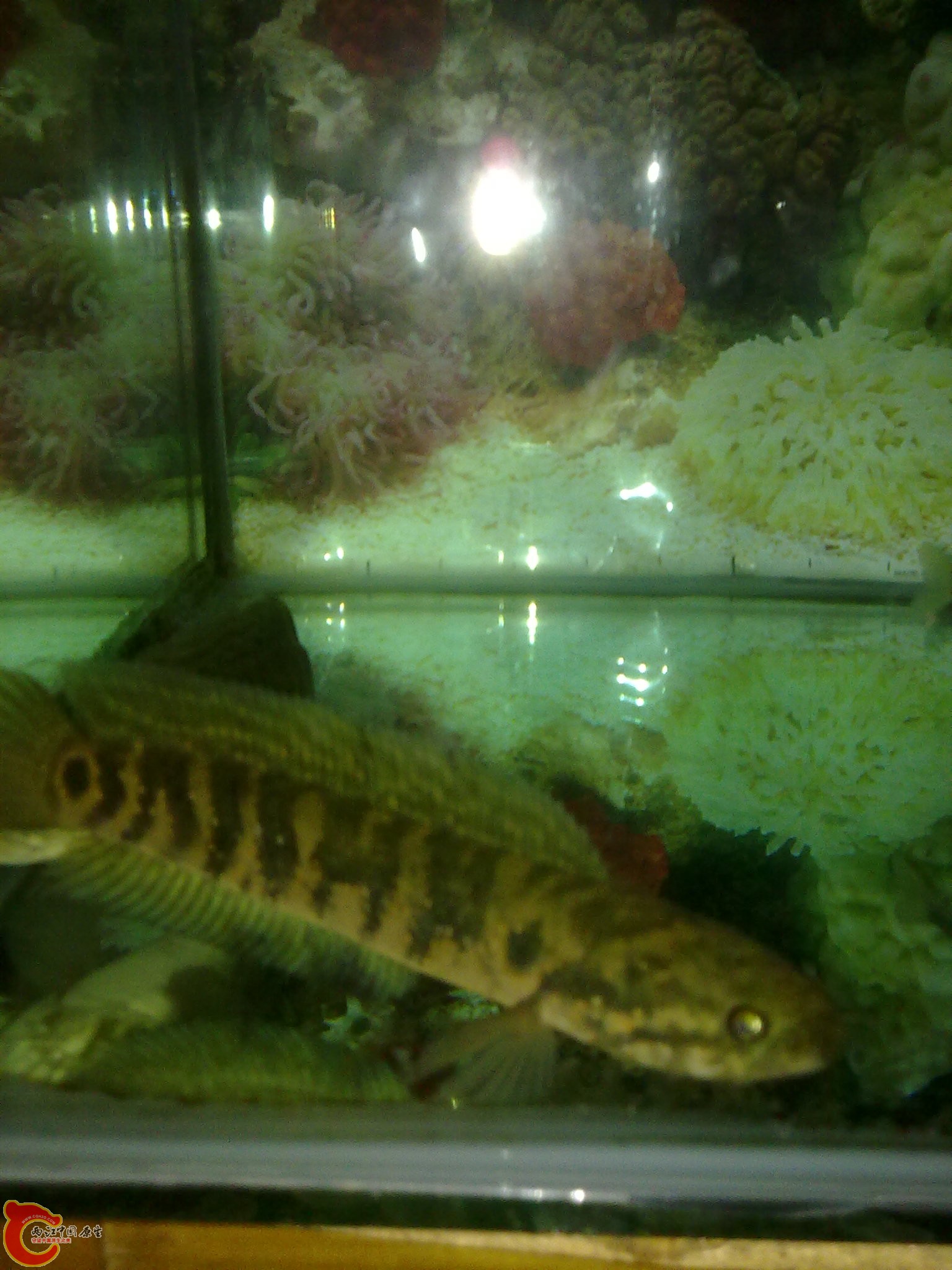 201203022212.jpg