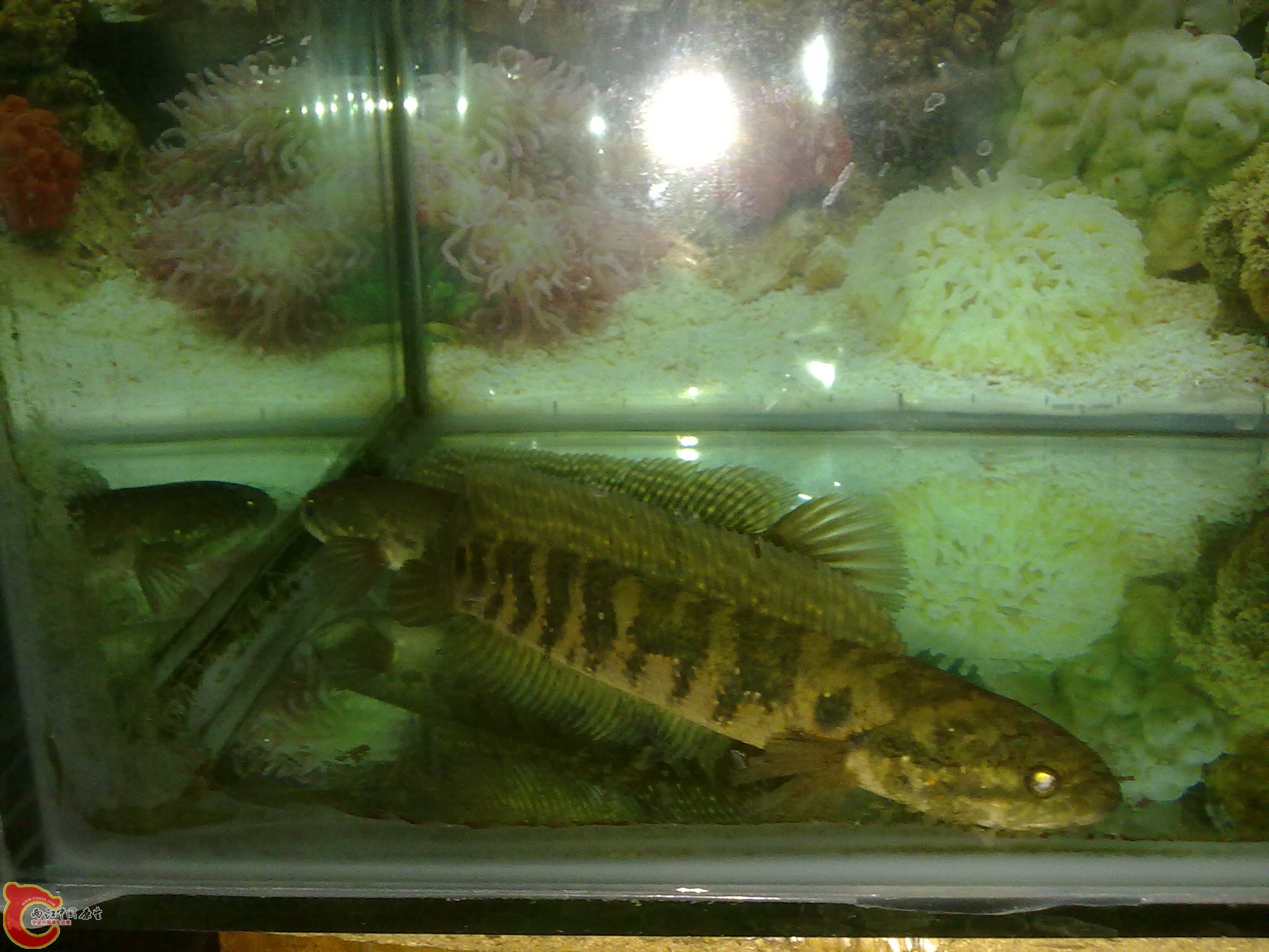 201203022213.jpg