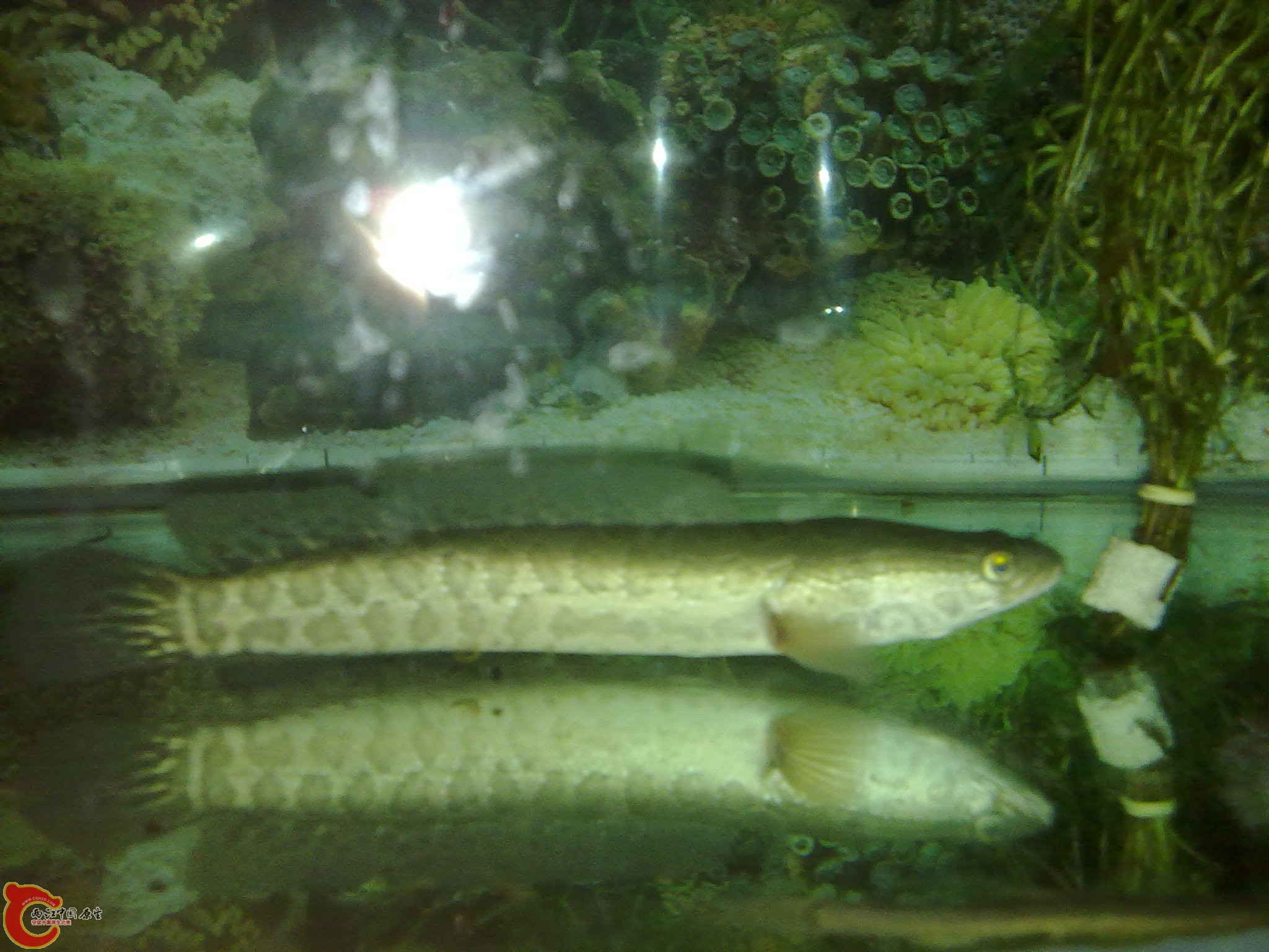201203022214.jpg