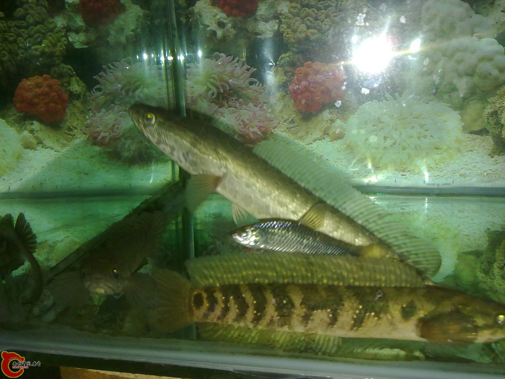 201203022215.jpg