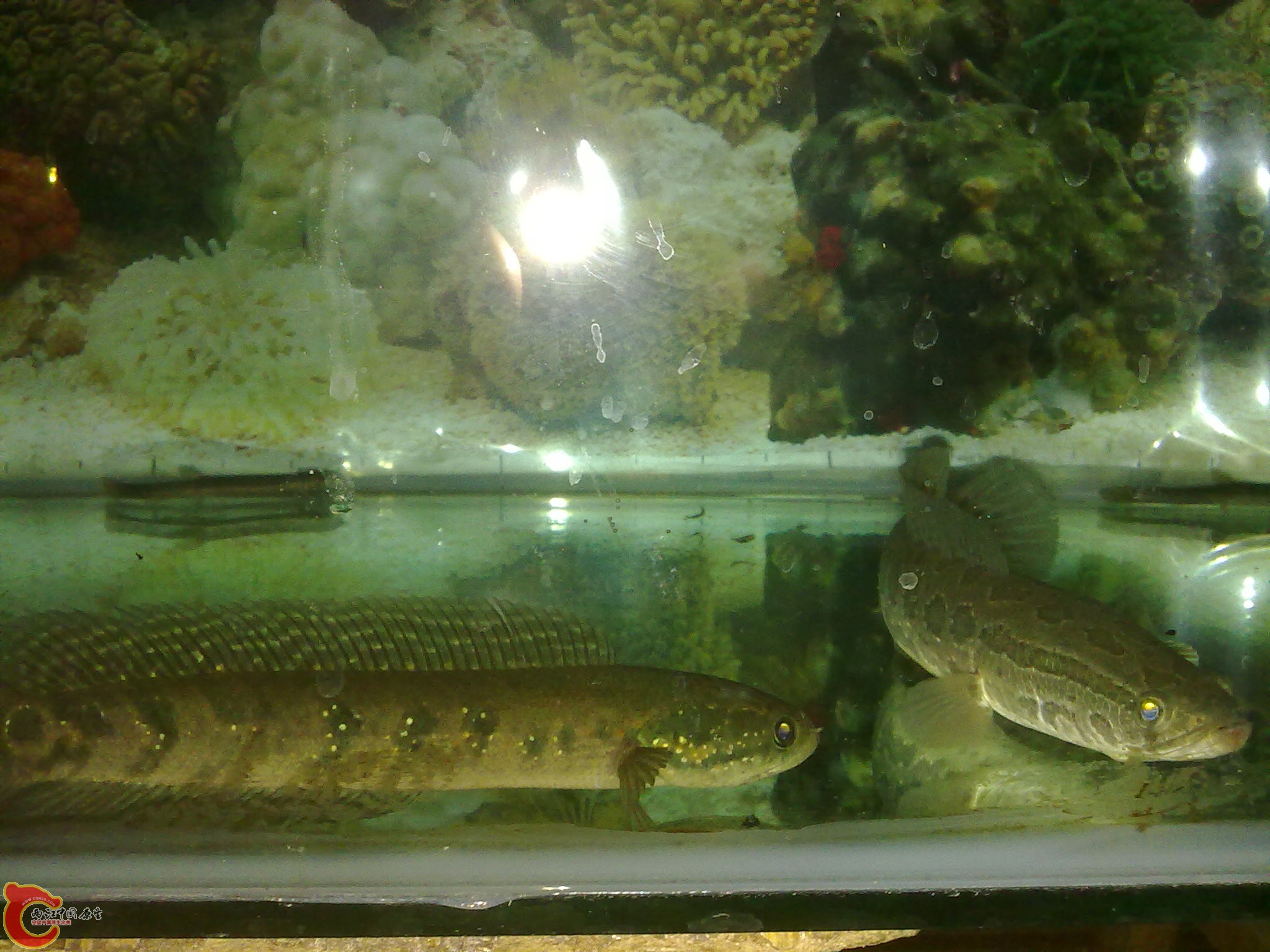 201203022218.jpg