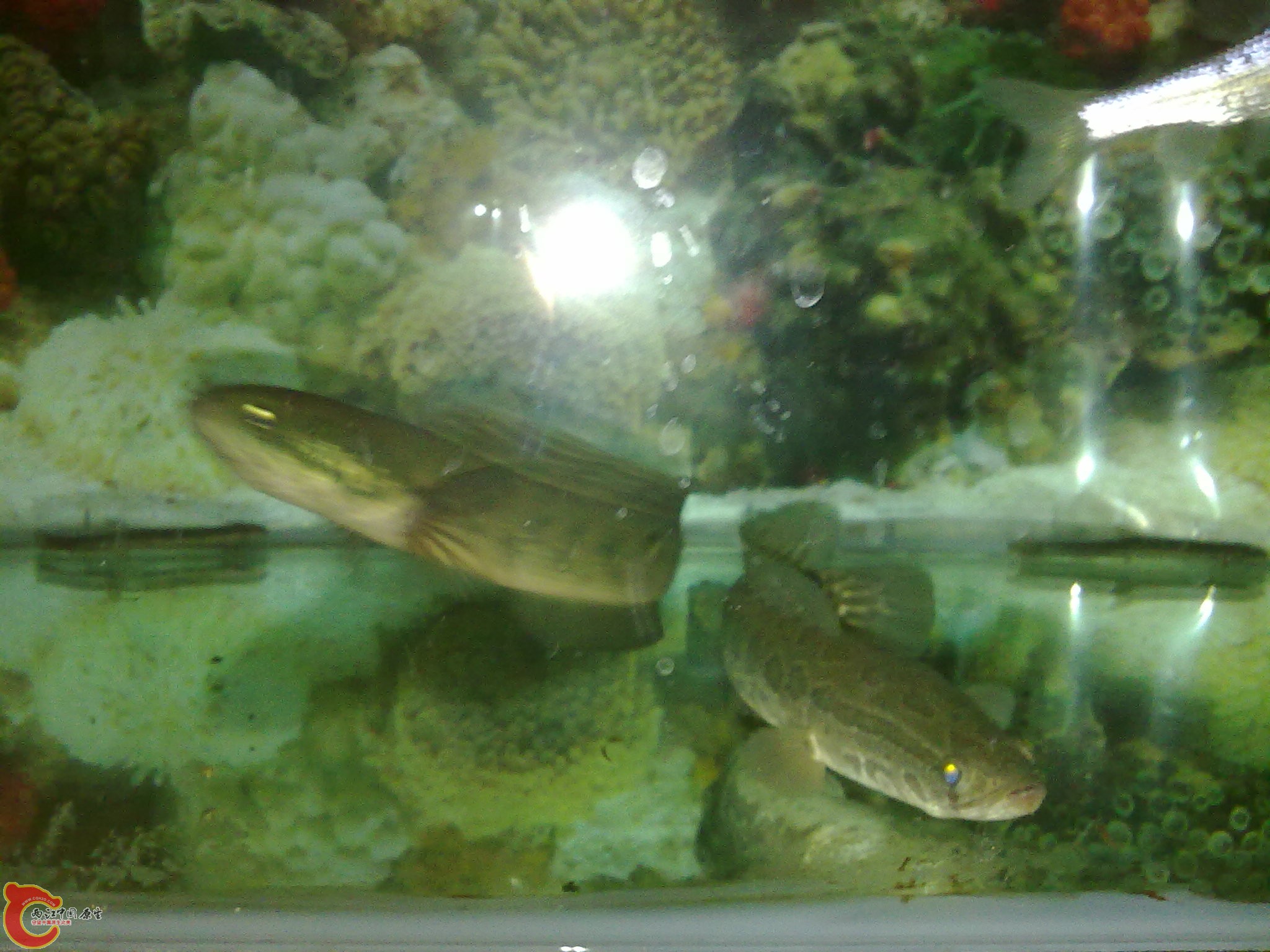 201203022219.jpg