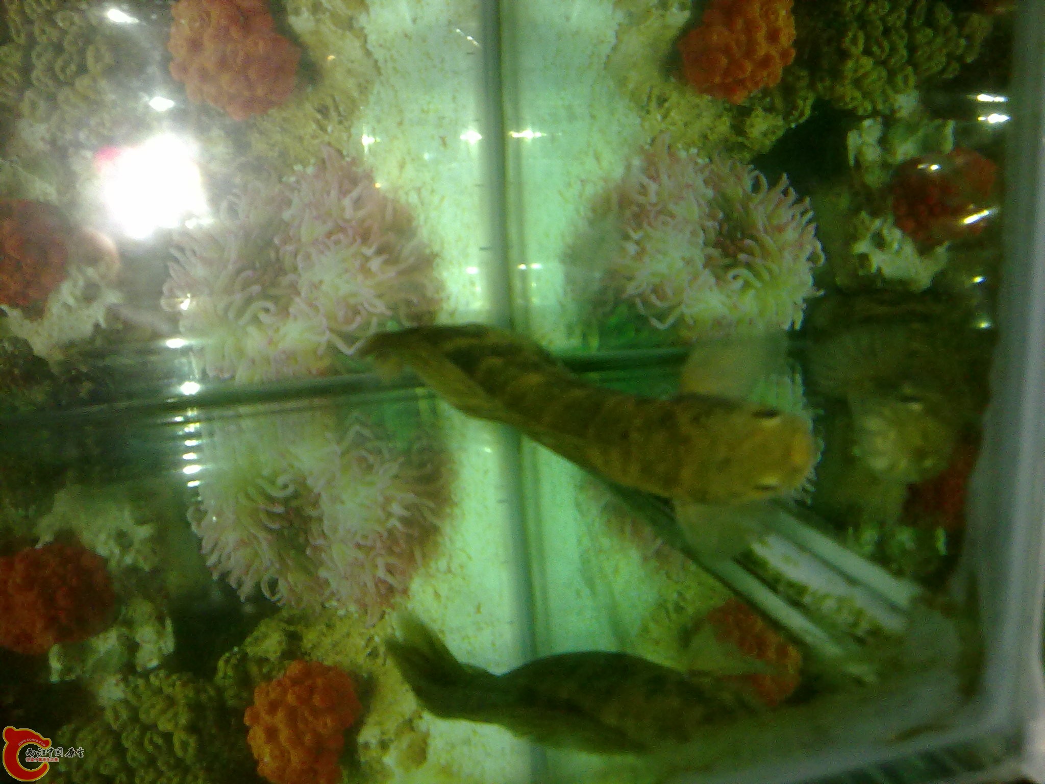 201203022221.jpg