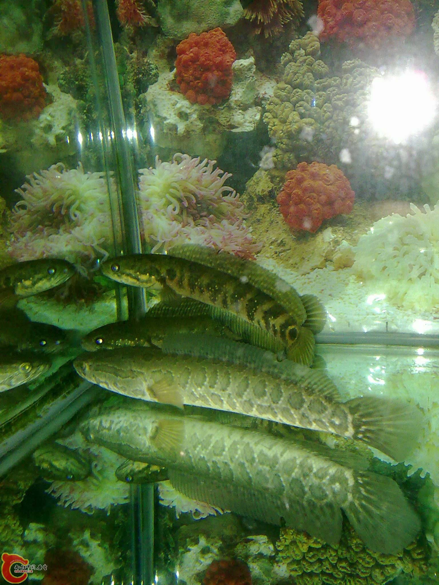 201203022226.jpg