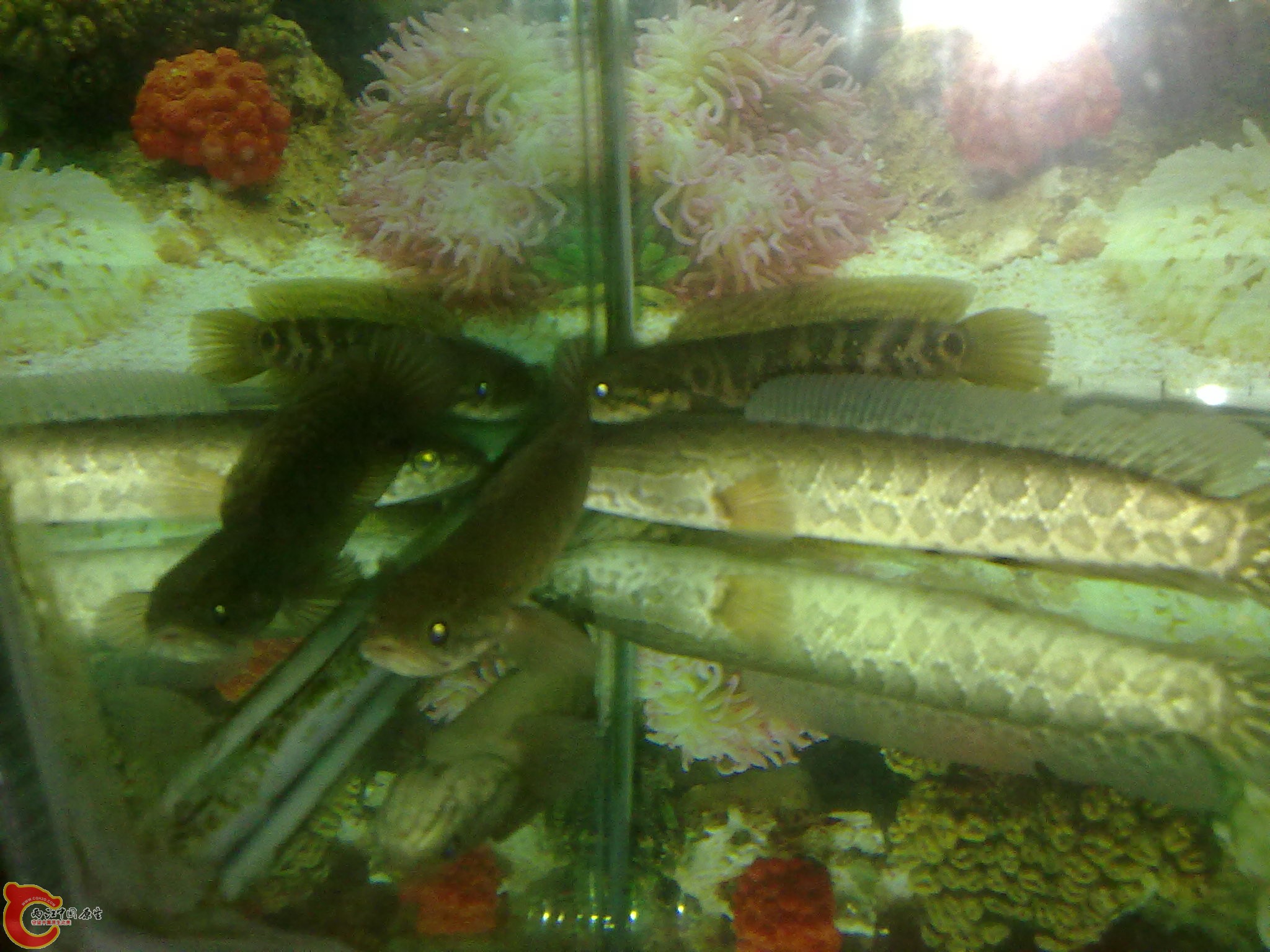201203022228.jpg