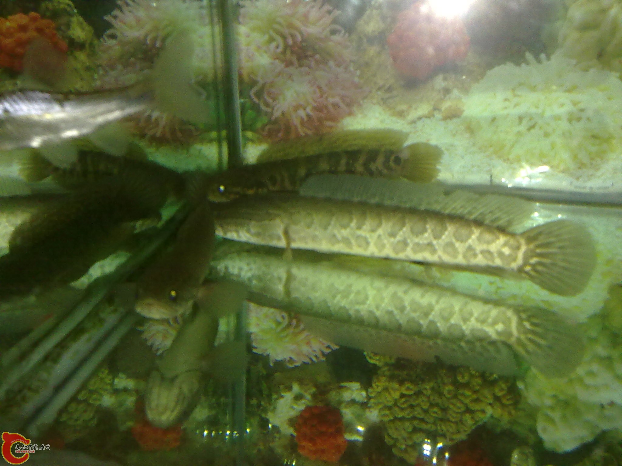201203022229.jpg