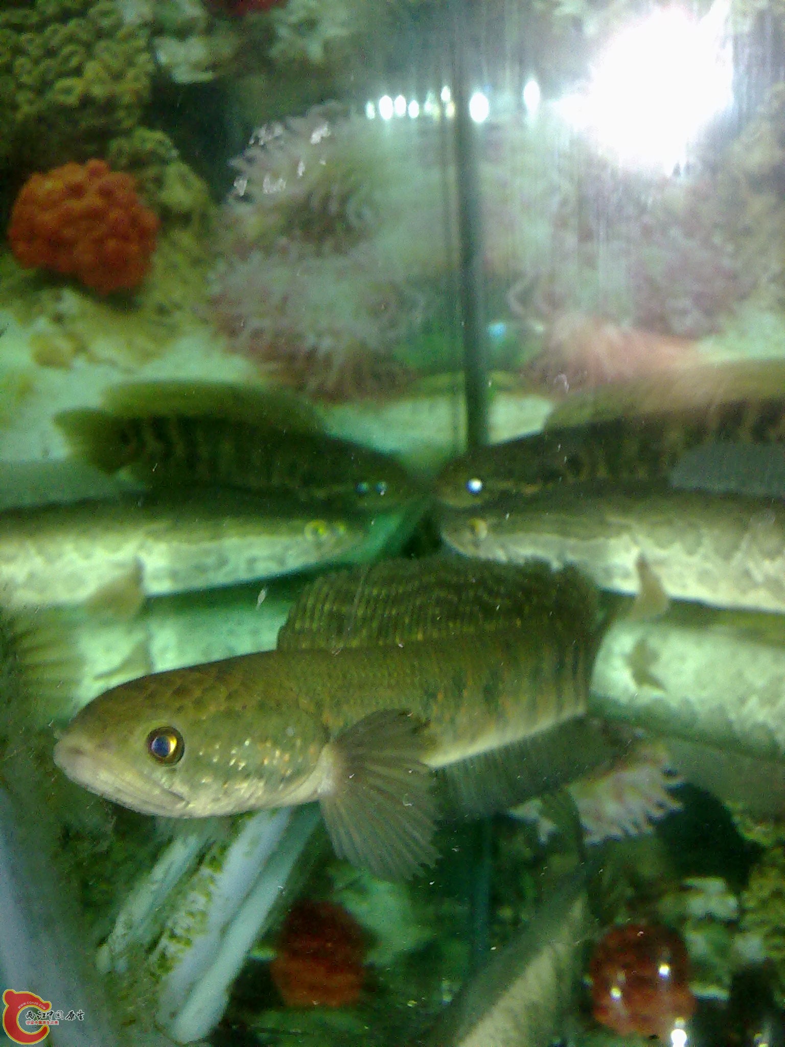 201203022230.jpg