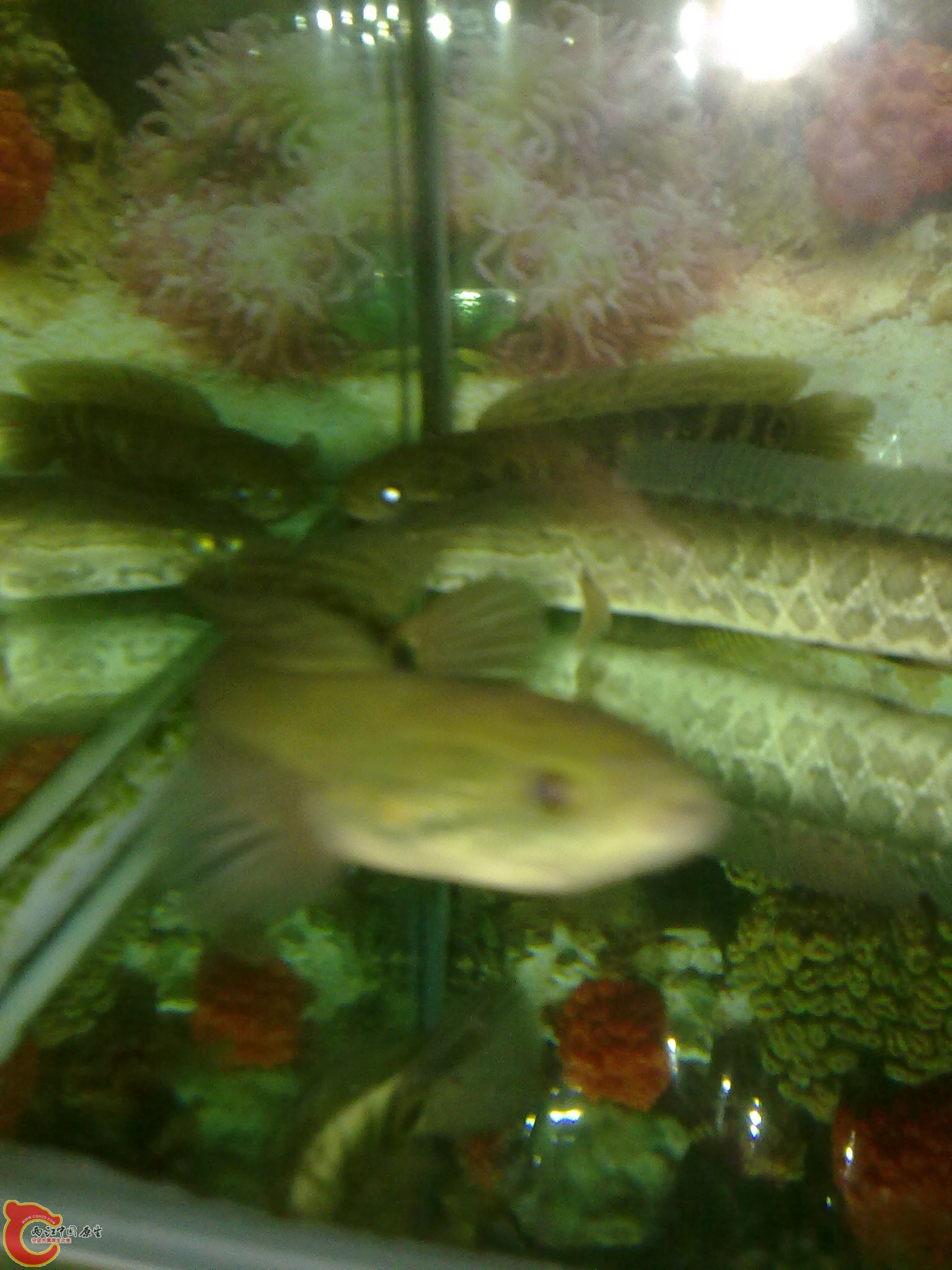 201203022231.jpg