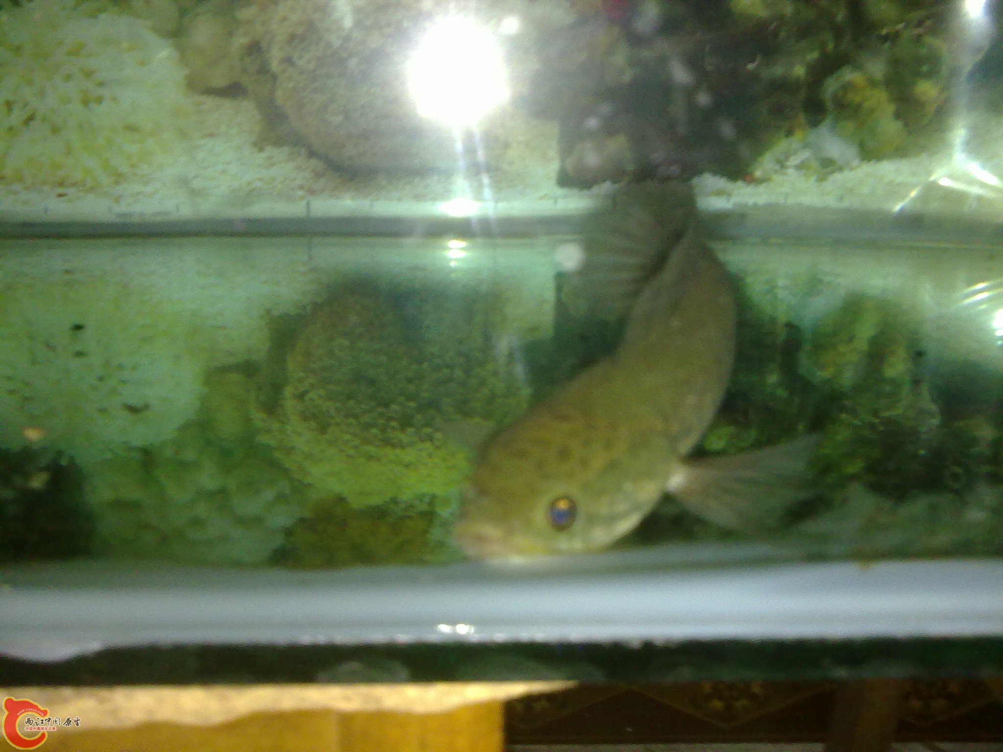 201203022234.jpg