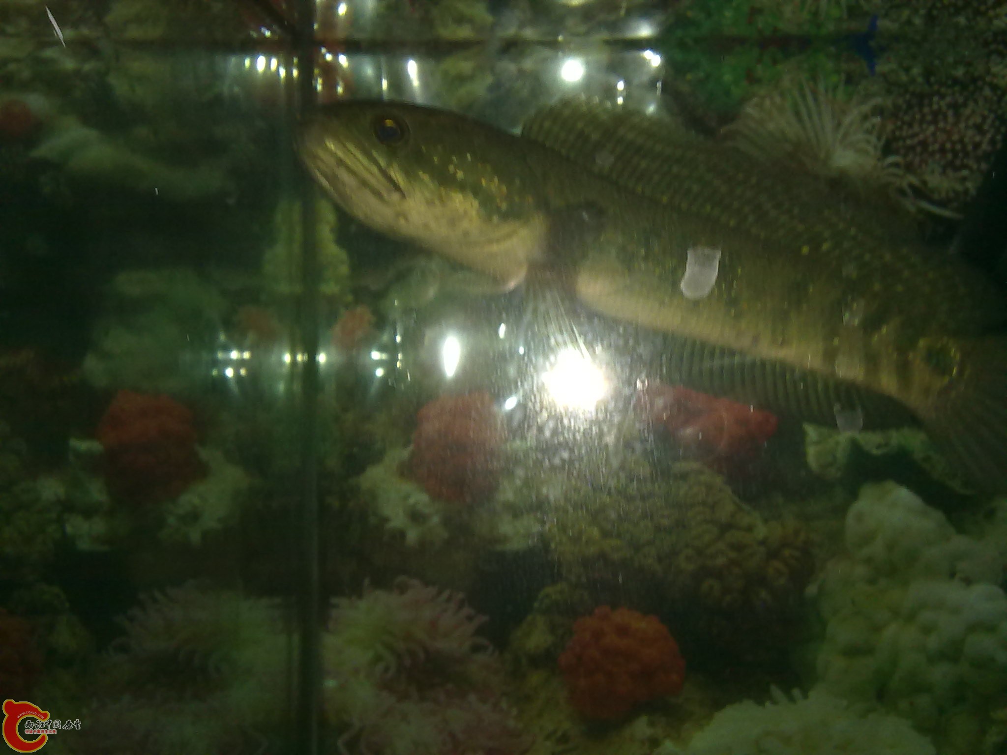 201203022235.jpg