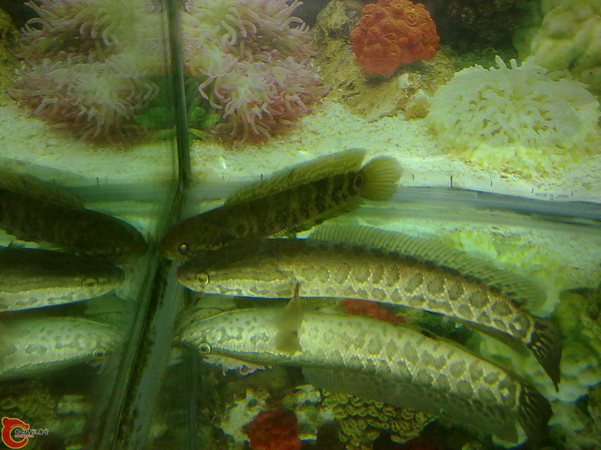 201203022237.jpg