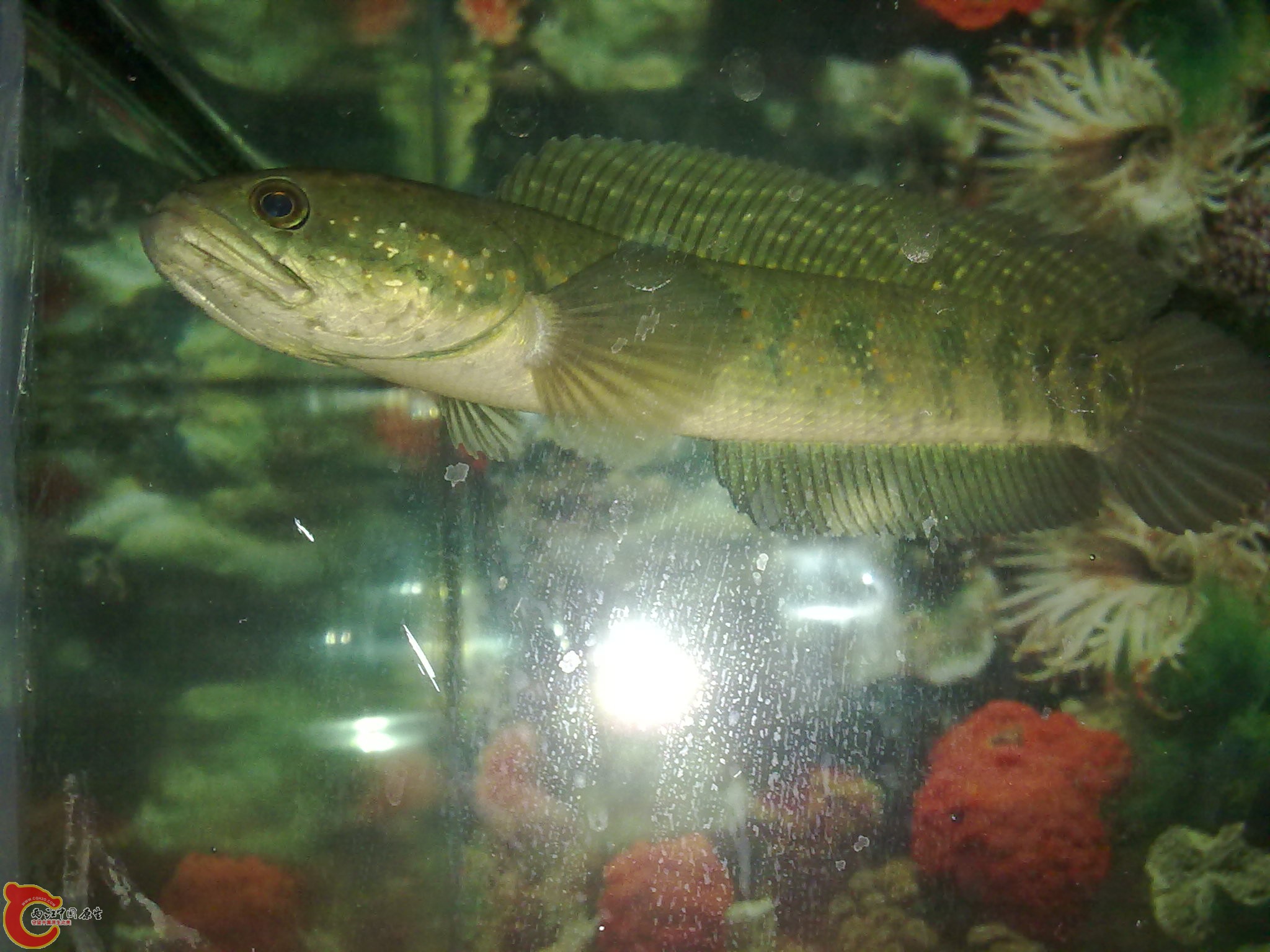 201203022238.jpg