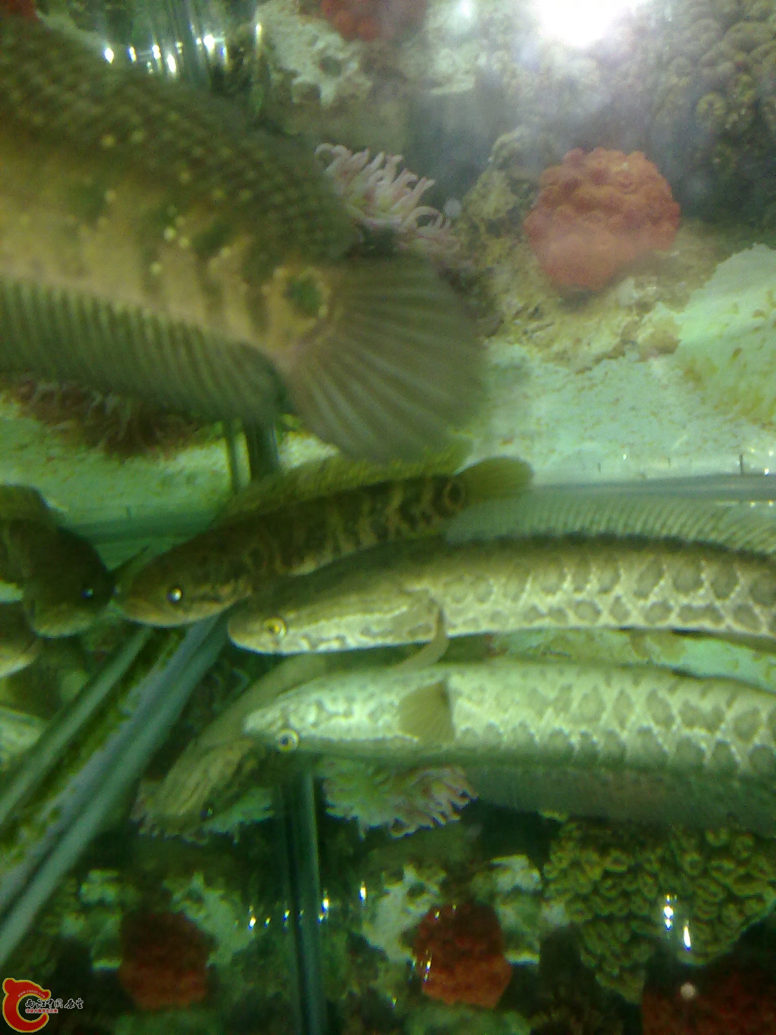 201203022241.jpg