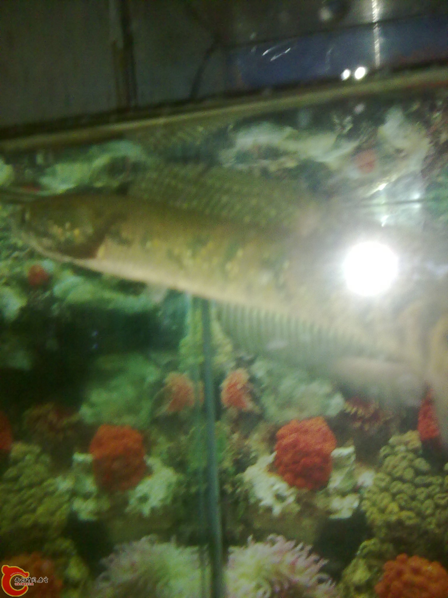 201203022242.jpg