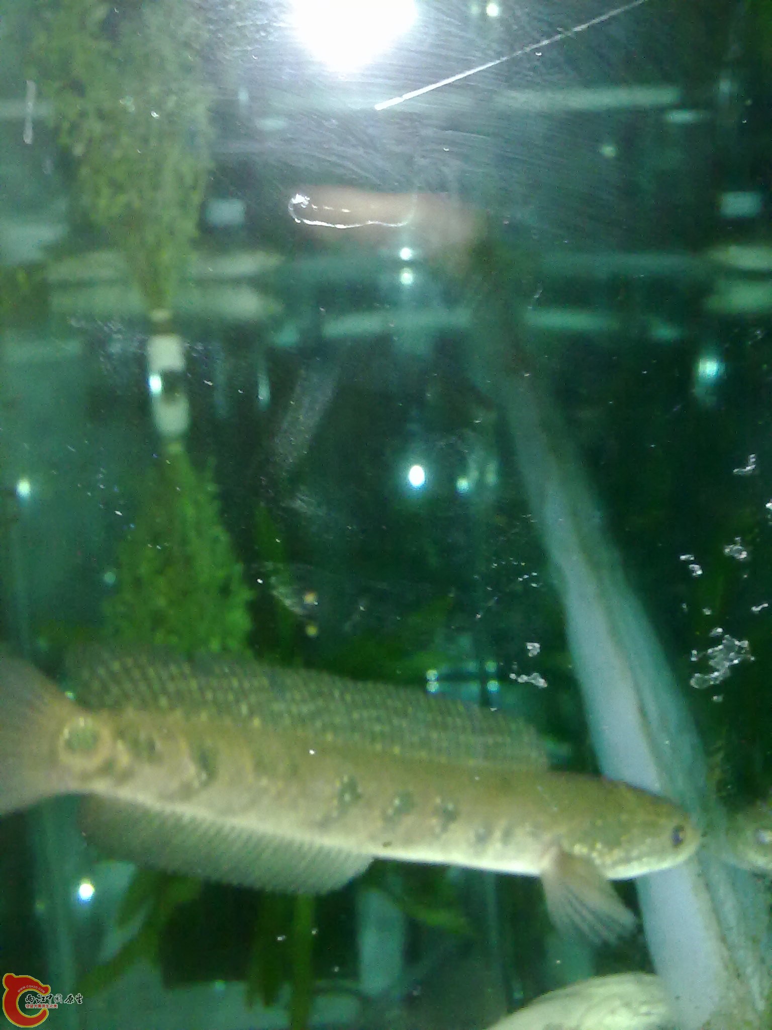 201203022245.jpg