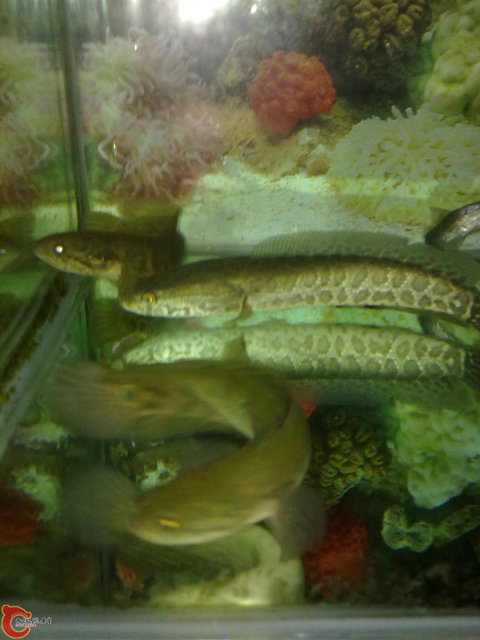 201203022246.jpg