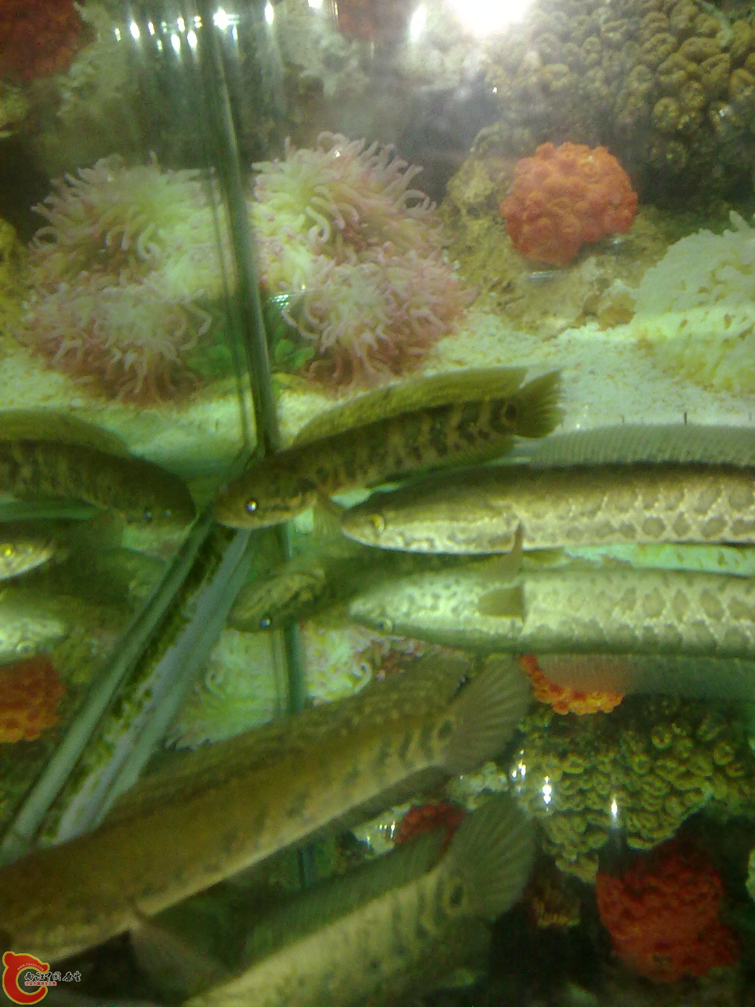 201203022248.jpg