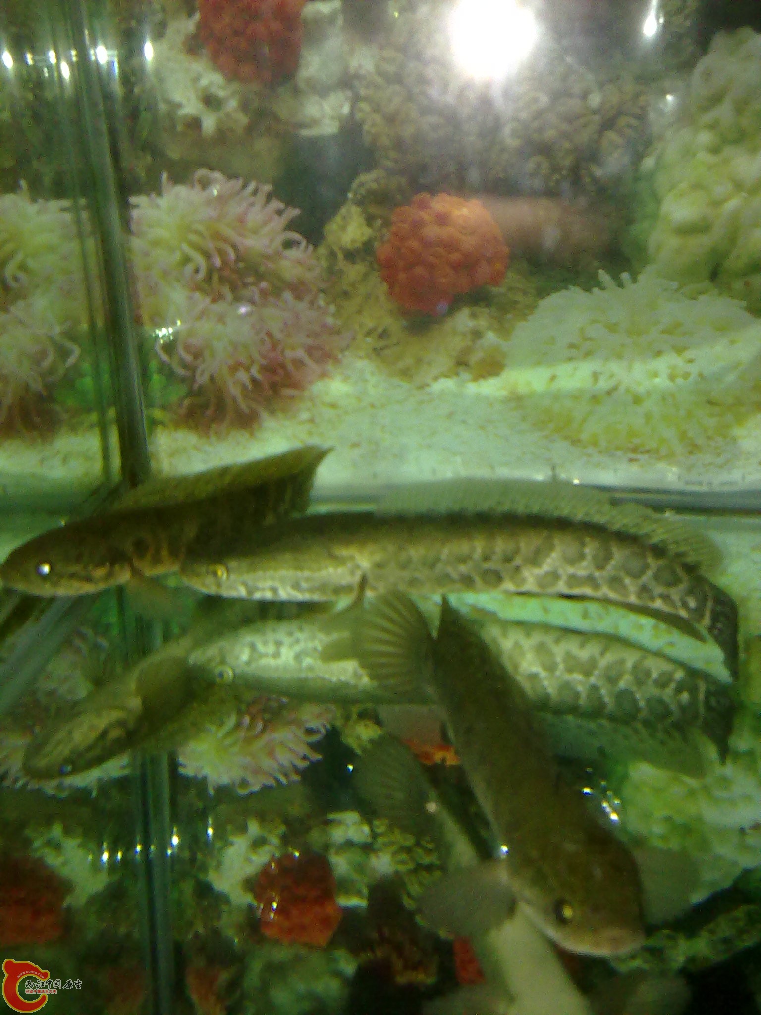 201203022250.jpg