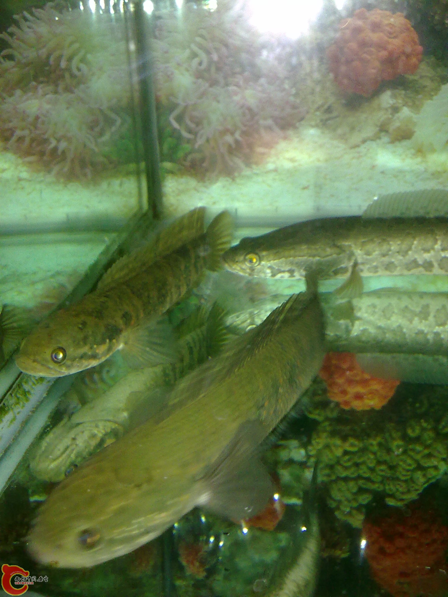 201203022253.jpg
