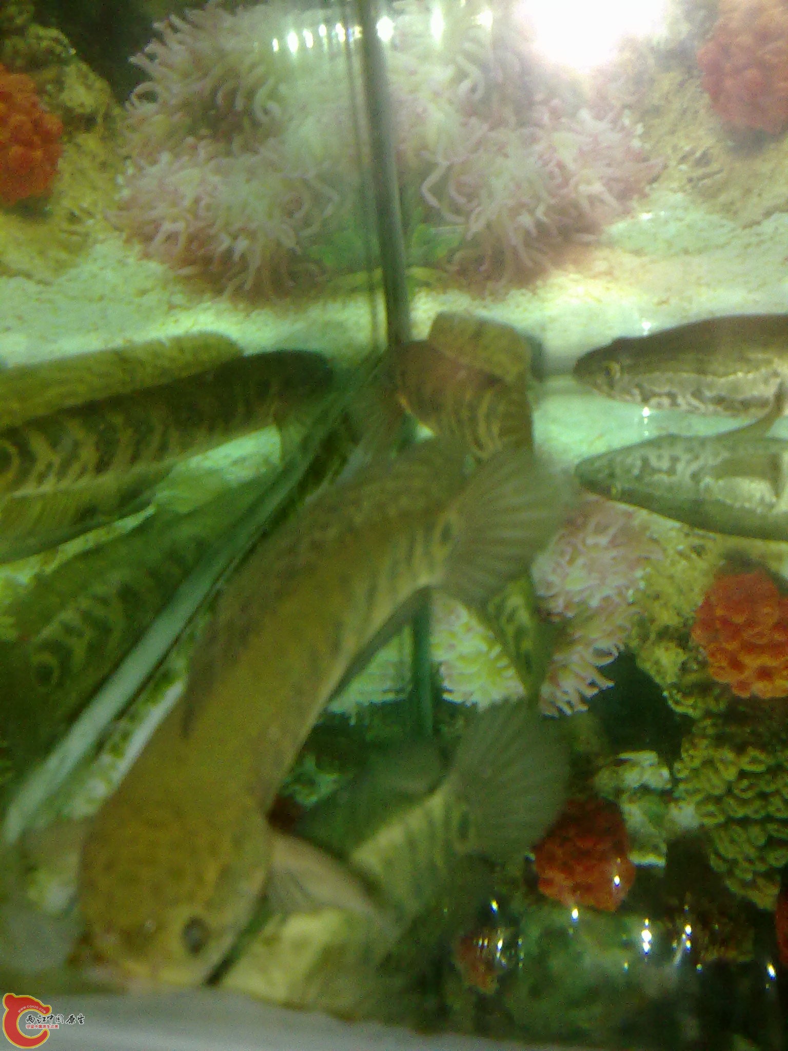 201203022255.jpg