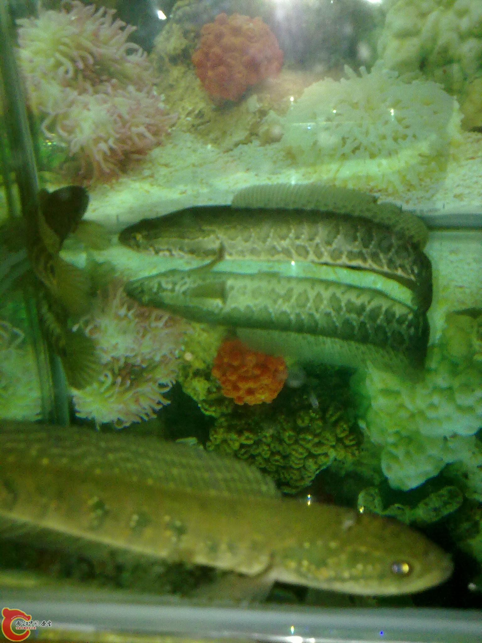 201203022256.jpg
