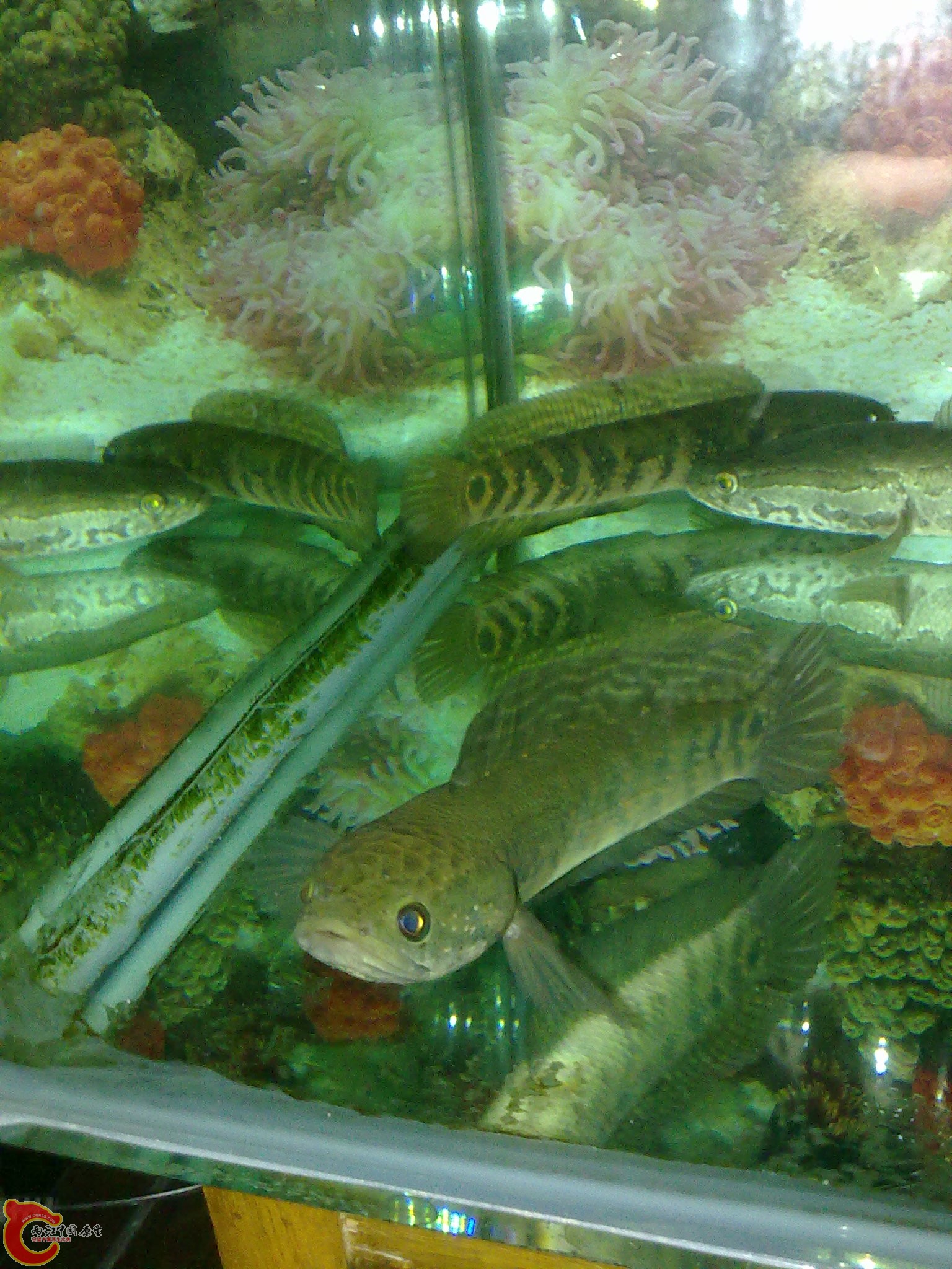 201203022257.jpg
