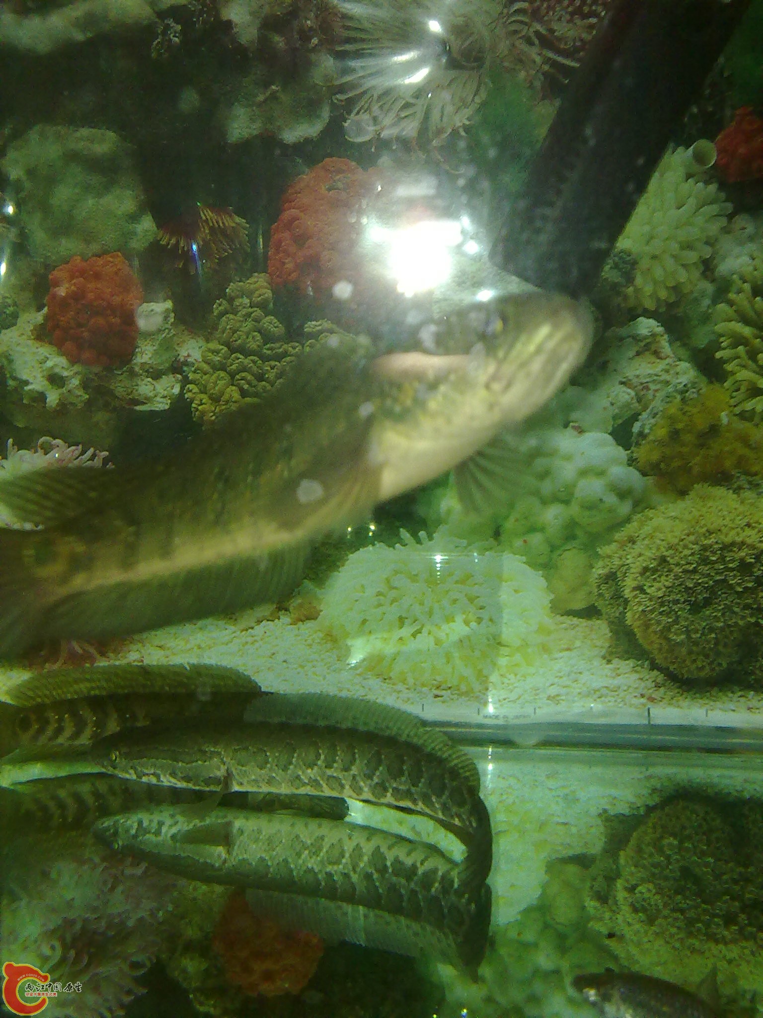 201203022258.jpg