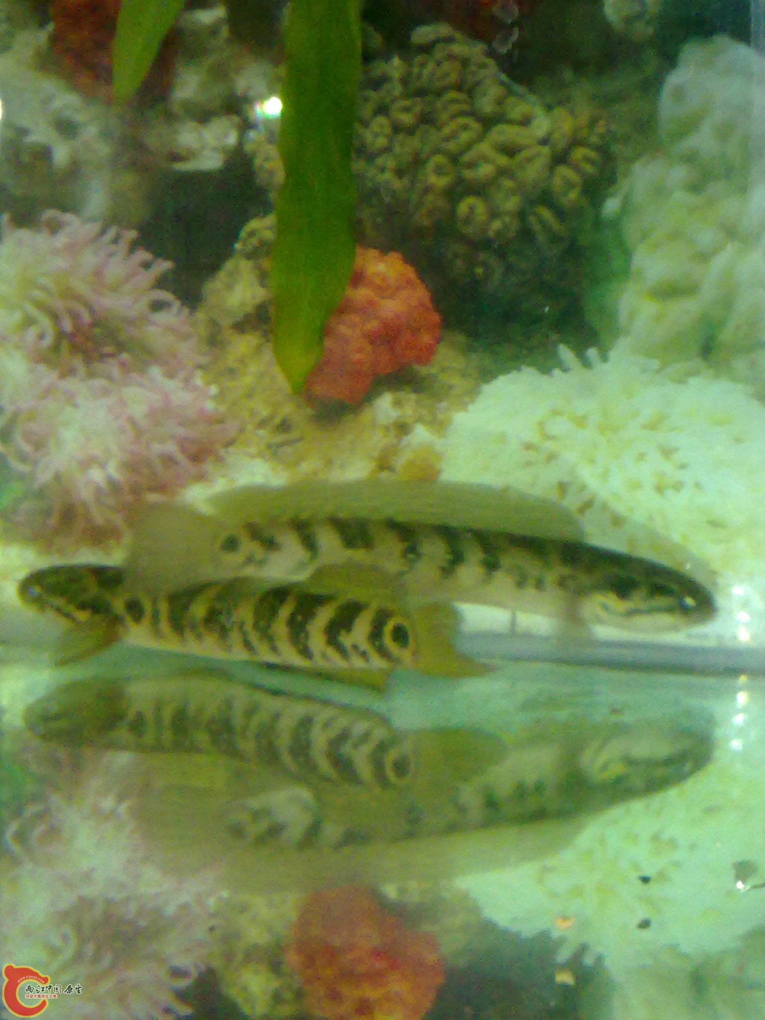 201203022188.jpg