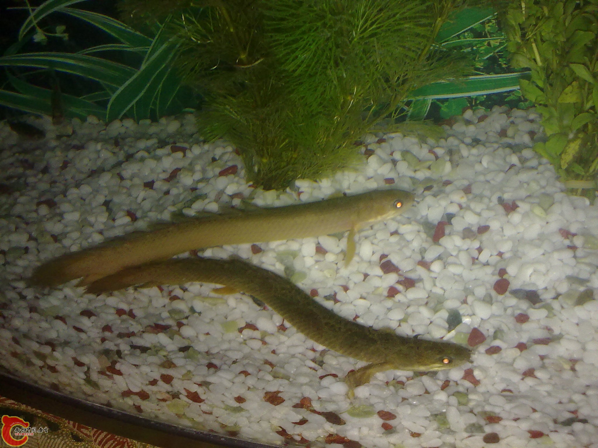 201202192102.jpg