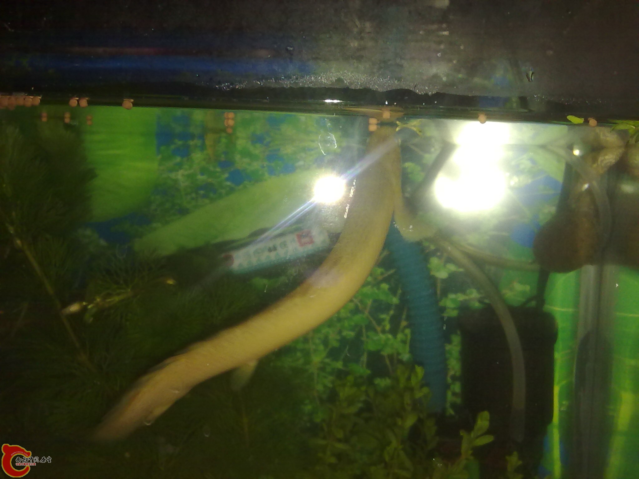 201202202105.jpg