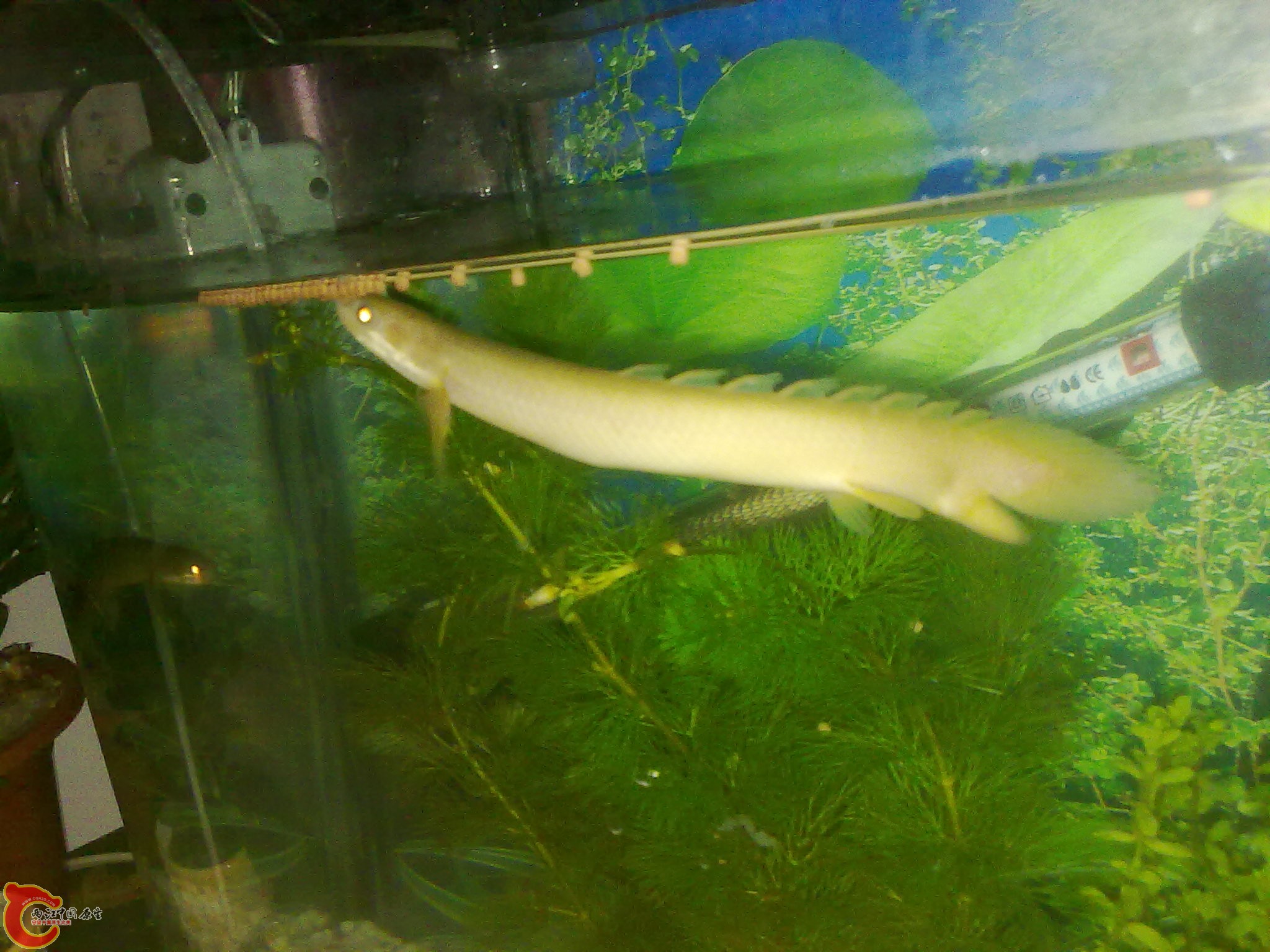 201202202108.jpg
