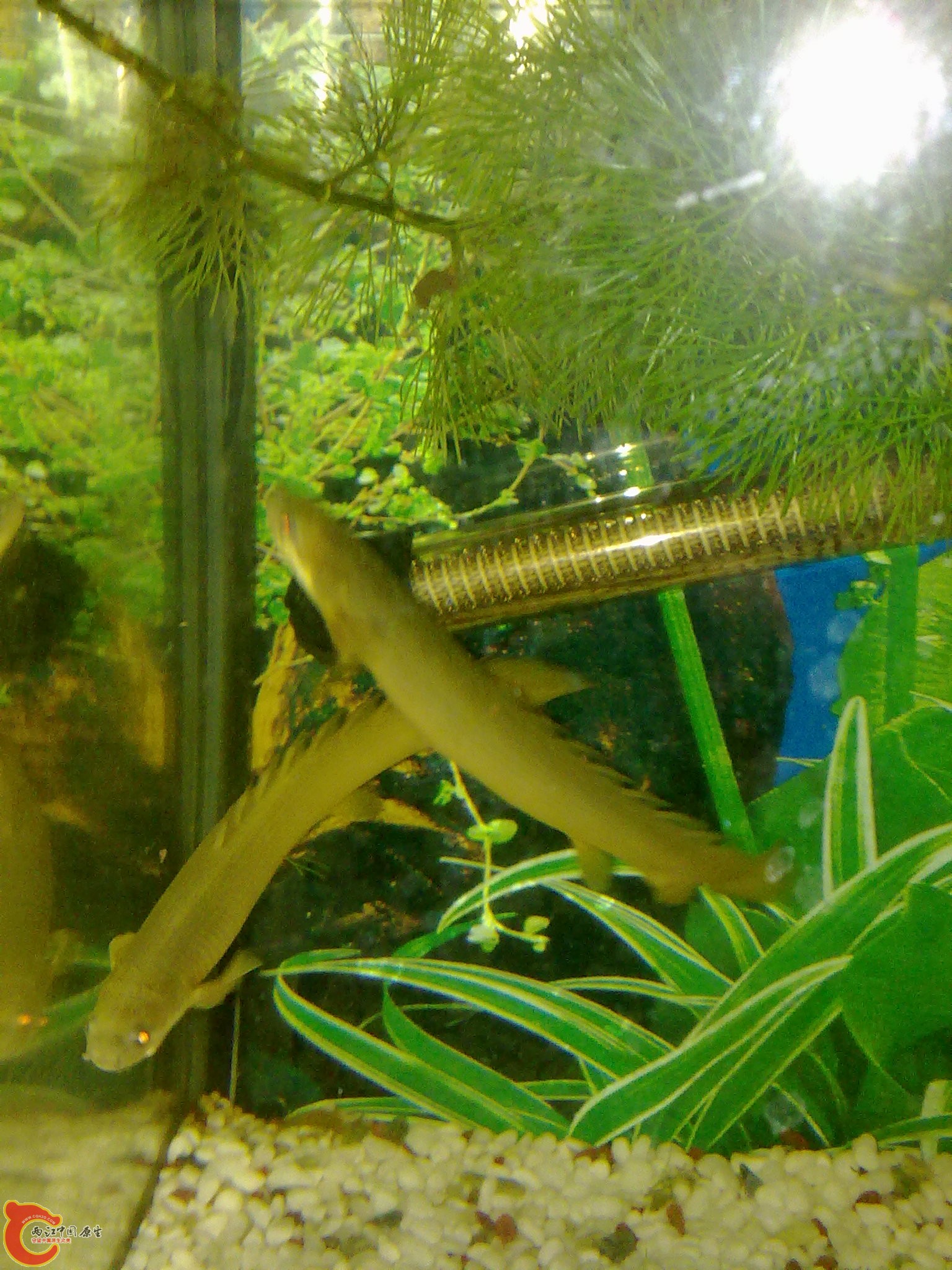 201202282151.jpg