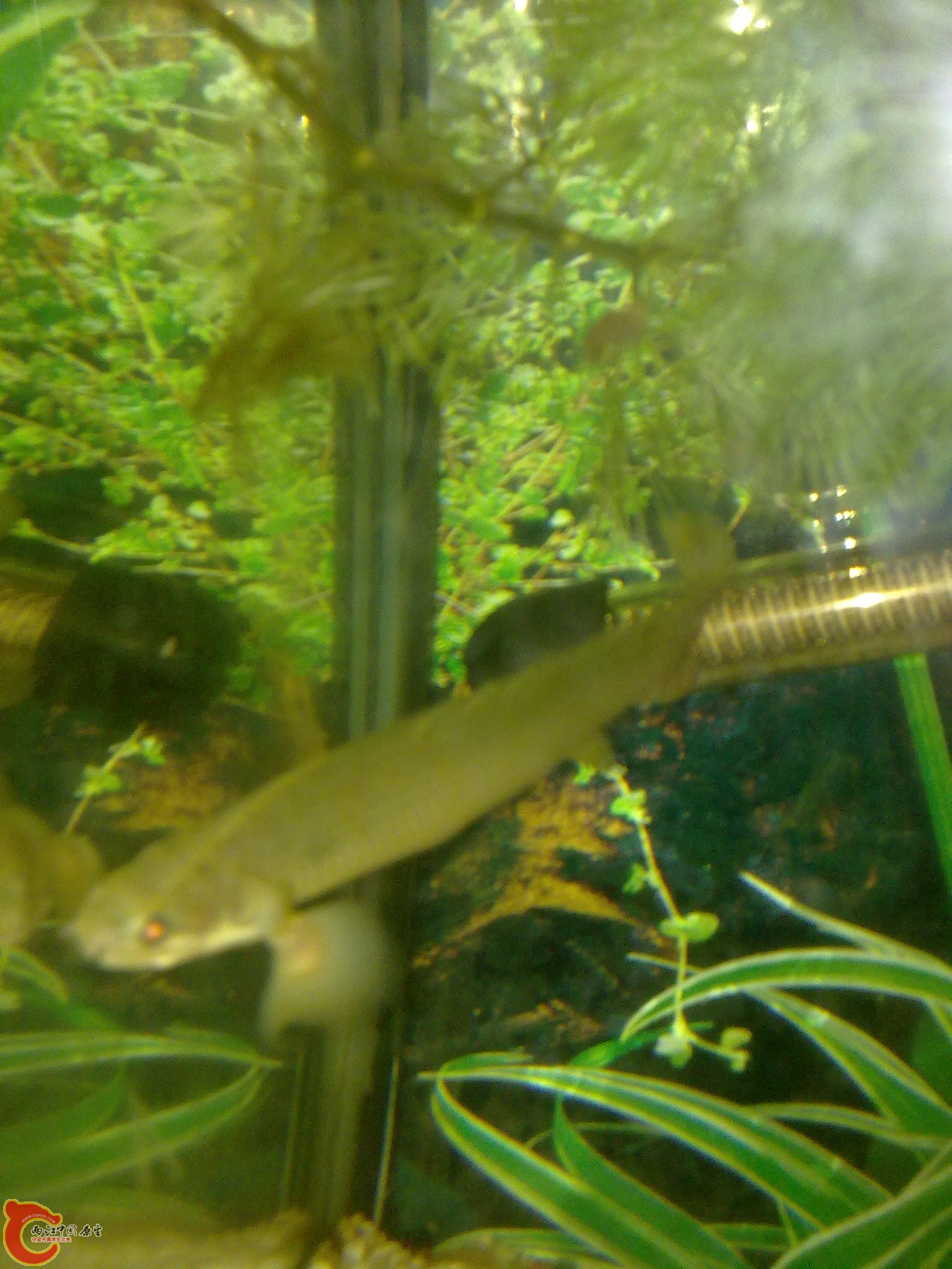 201202282160.jpg