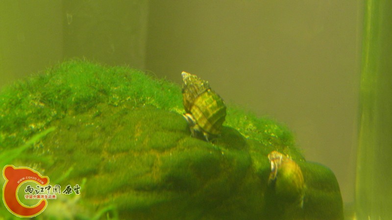 P2090088_副本.jpg