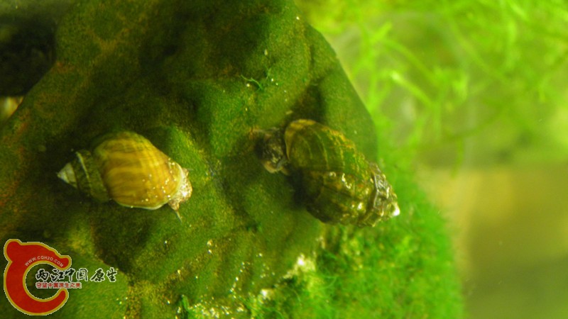 P2090089_副本.jpg