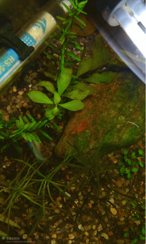 ug004de4.gif