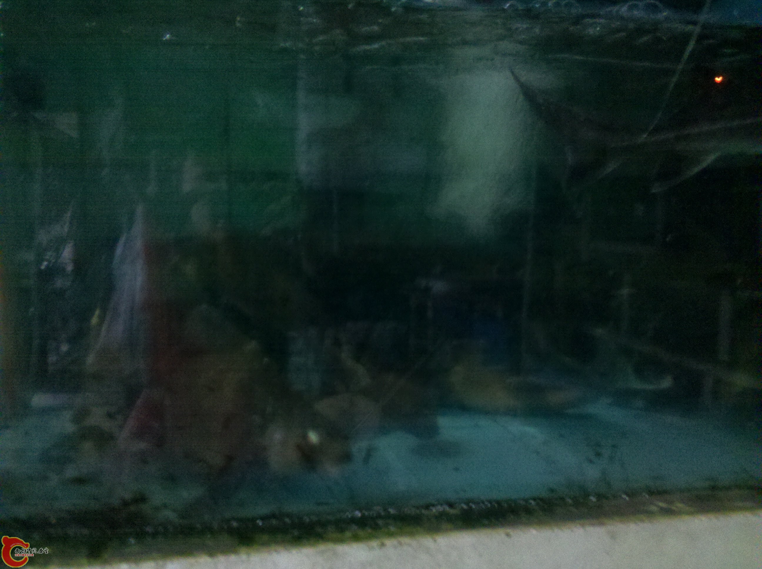 C360_2012-03-04-16-54-16.jpg