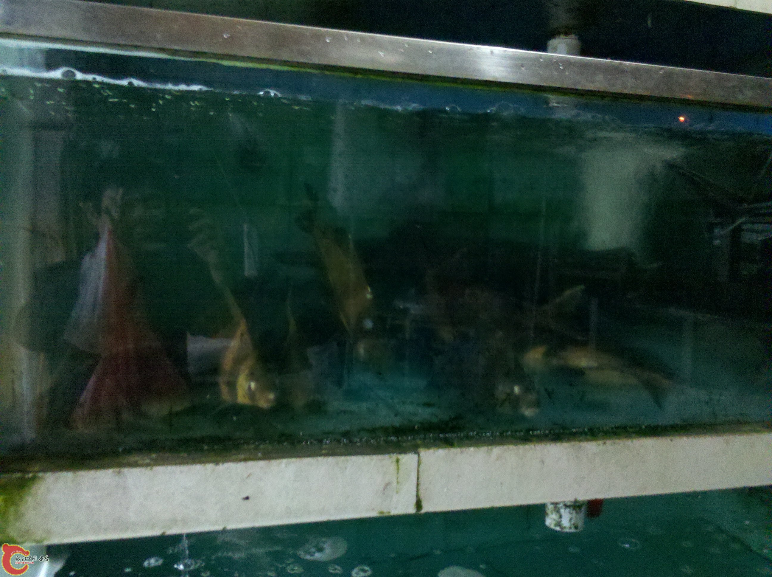 C360_2012-03-04-16-54-07.jpg
