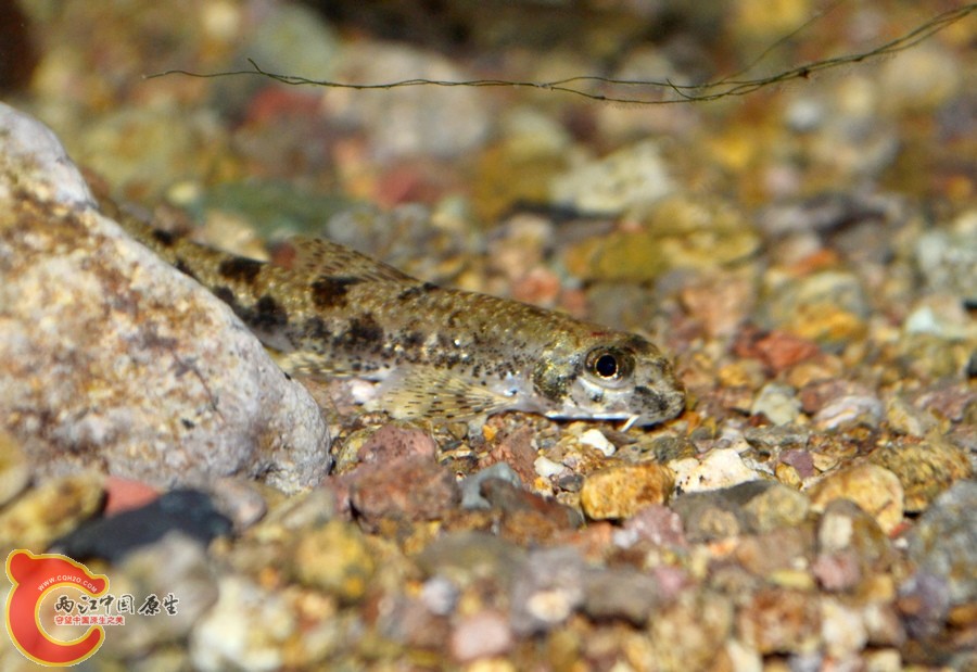 DSC_7344.JPG