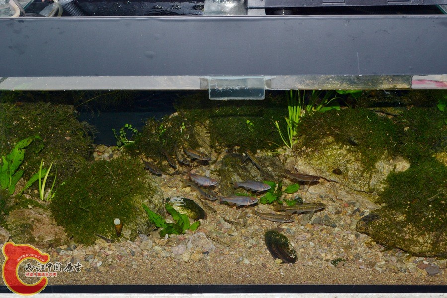 DSC_7352.JPG