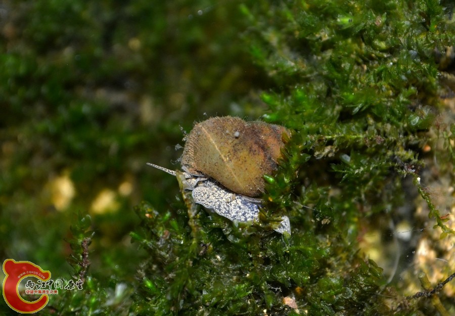DSC_7104.JPG