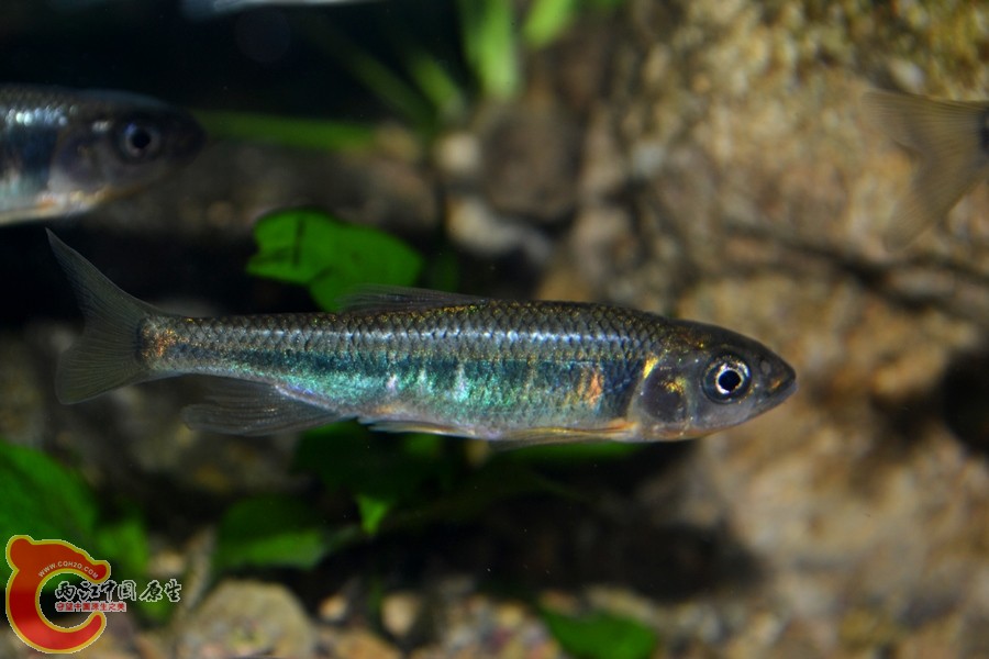 DSC_7317.JPG
