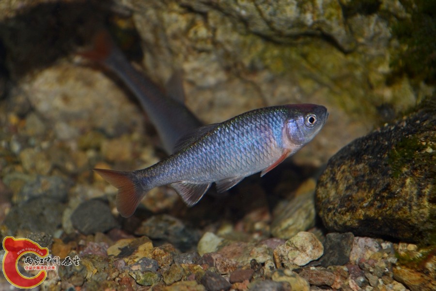 DSC_7321.JPG