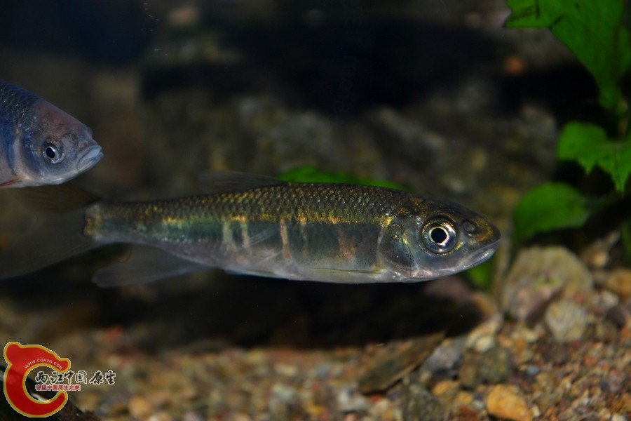 DSC_7323.JPG